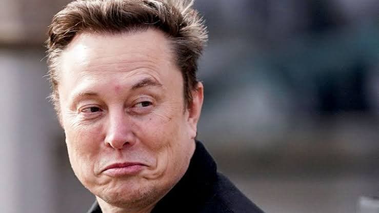 MacroHard: Elon Musk's Next Big Bet on AI