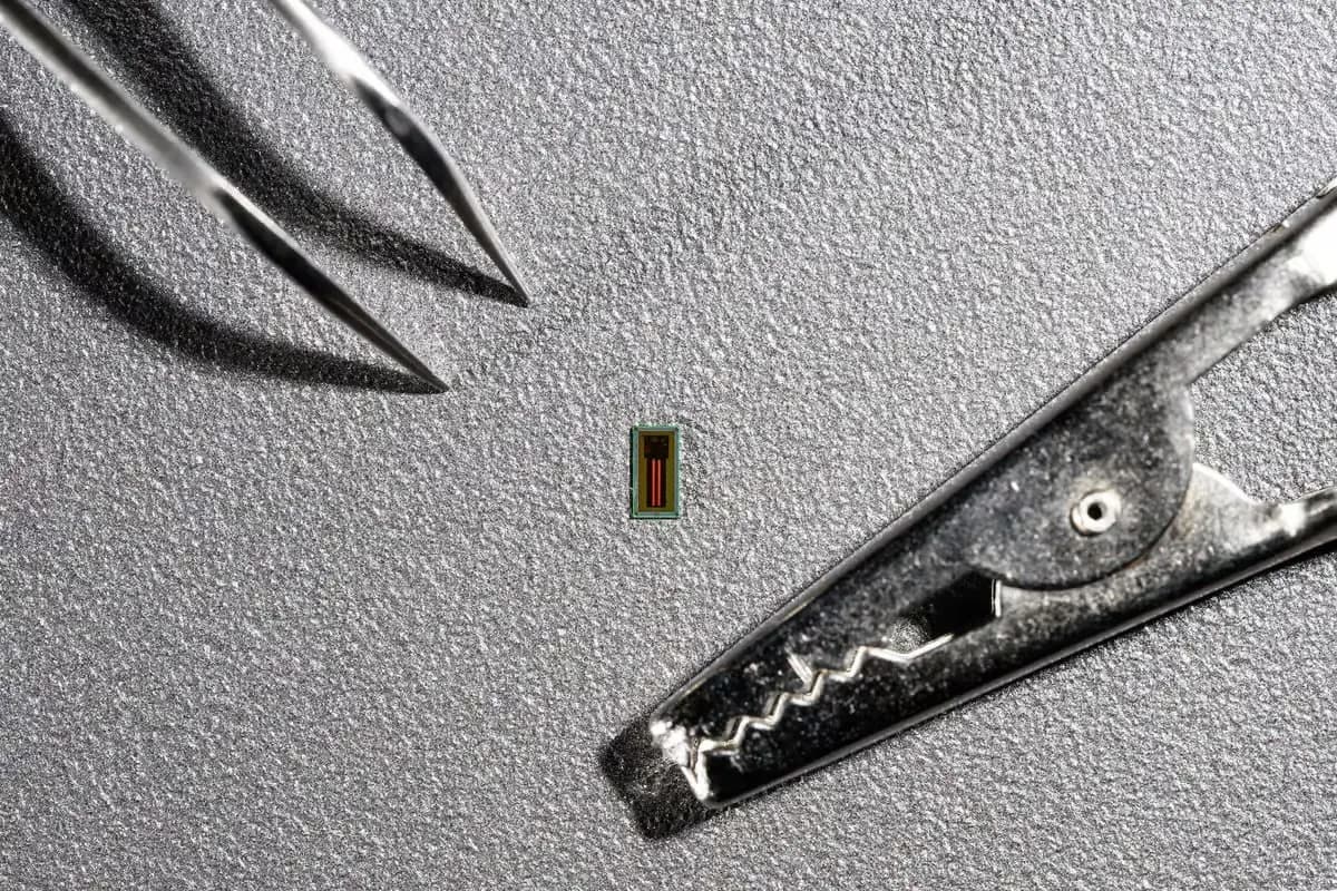 🧠 New neurochip!