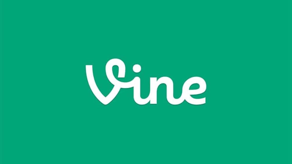 Возрождение Vine на горизонте?